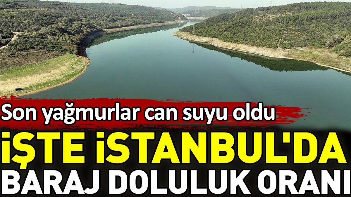 Son yağmurlar can suyu oldu. İşte İstanbul'da baraj doluluk oranı