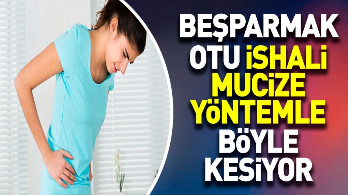 Beşparmak otu ishali mucize yöntemle böyle kesiyor