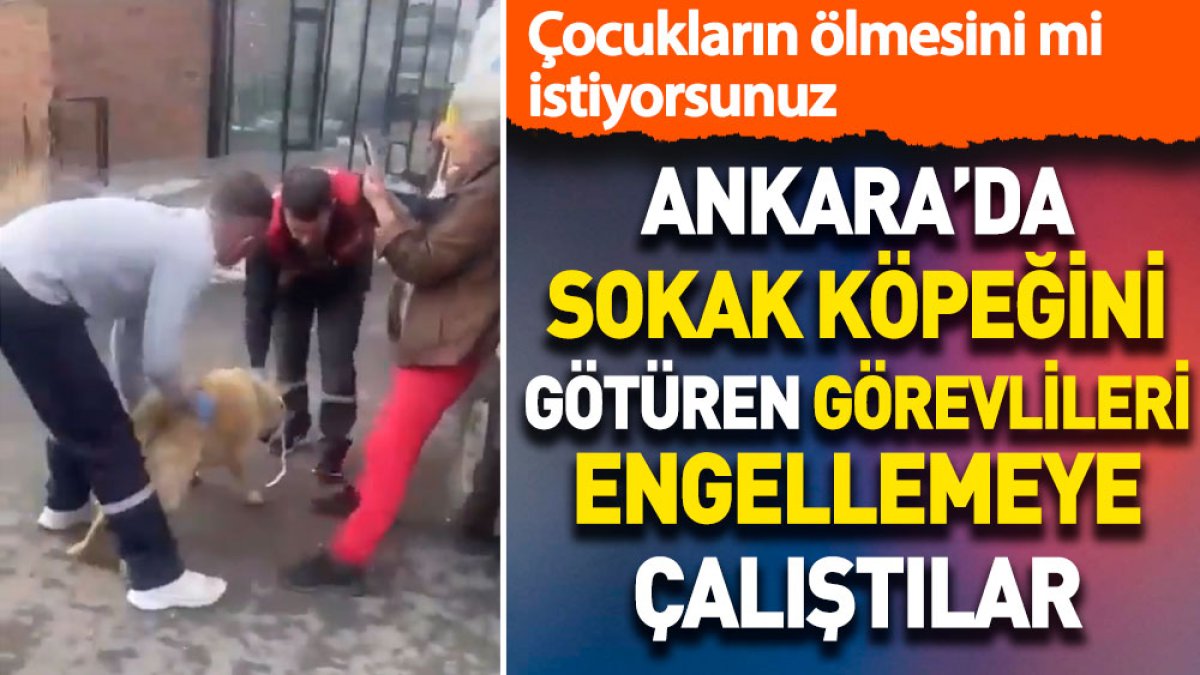 Ankara'da sokak köpeğini götüren görevlileri engellemeye çalıştılar. Çocukların ölmesini mi istiyorsunuz