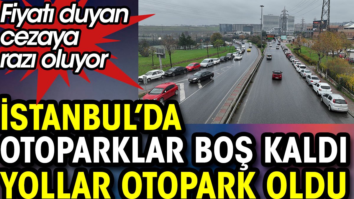 İstanbul'da otoparklar boş kaldı yollar otopark oldu. Fiyatı duyan hatalı park cezasına razı oluyor