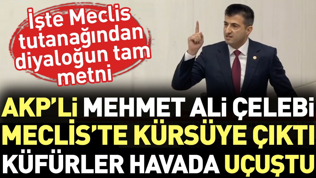 AKP'li Mehmet Ali Çelebi Meclis'te kürsüye çıktı küfürler havada uçuştu. İşte Meclis tutanağından diyaloğun tam metni