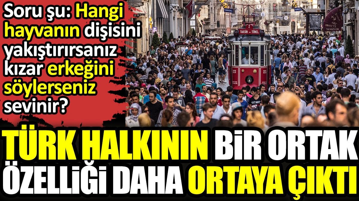 Koyun derseniz kızar koçum derseniz sevinir. Türk halkının bir ortak özelliği daha ortaya çıktı