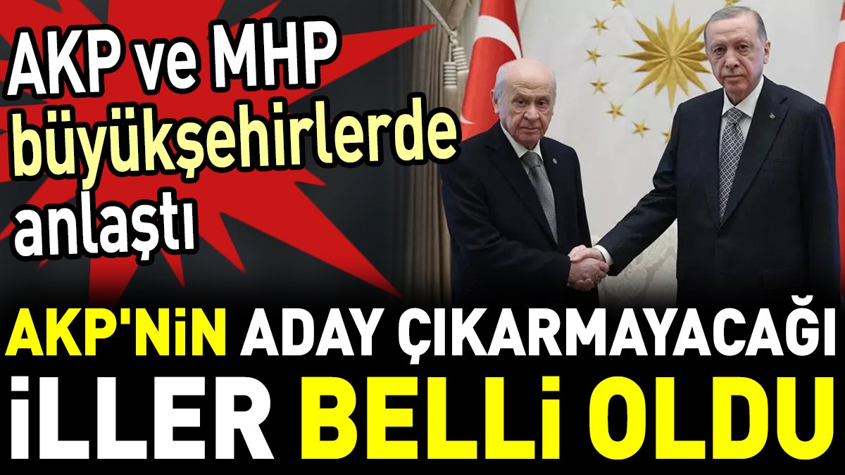 AKP'nin aday çıkarmayacağı iller belli oldu. AKP ve MHP büyükşehirlerde anlaştı