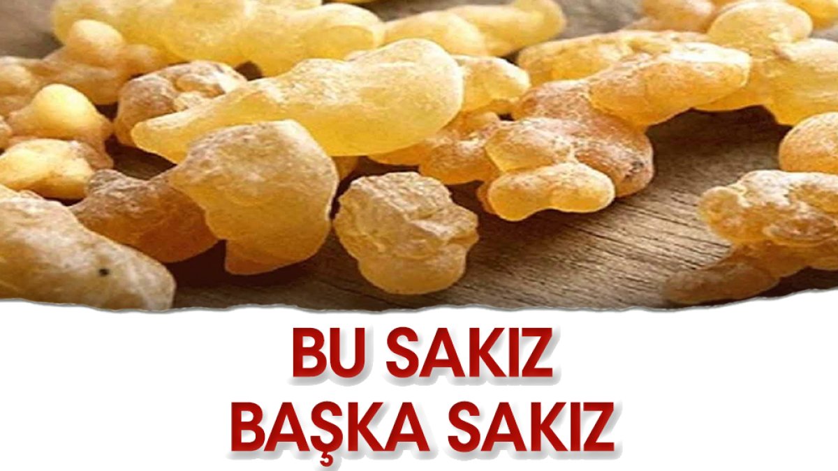 En yararlı sakız