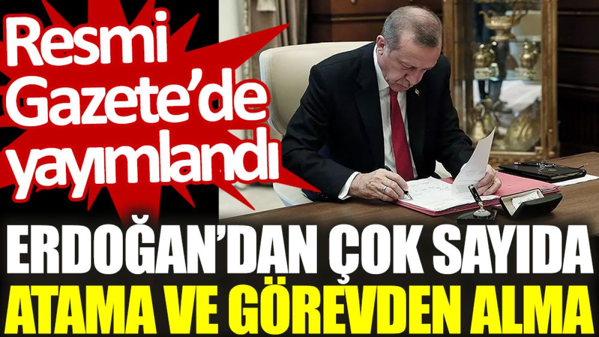 Erdoğan’dan çok sayıda atama ve görevden alma. Resmi Gazete'de yayımlandı