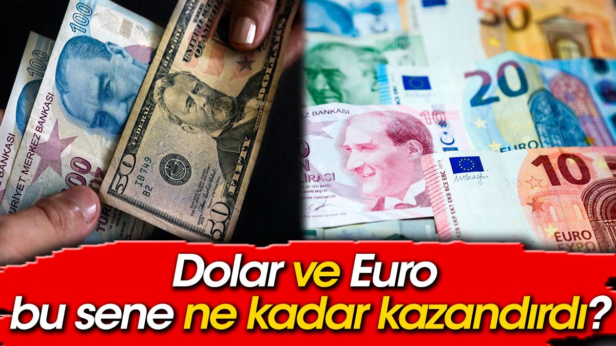 Dolar ve euro bu sene ne kadar kazandırdı?