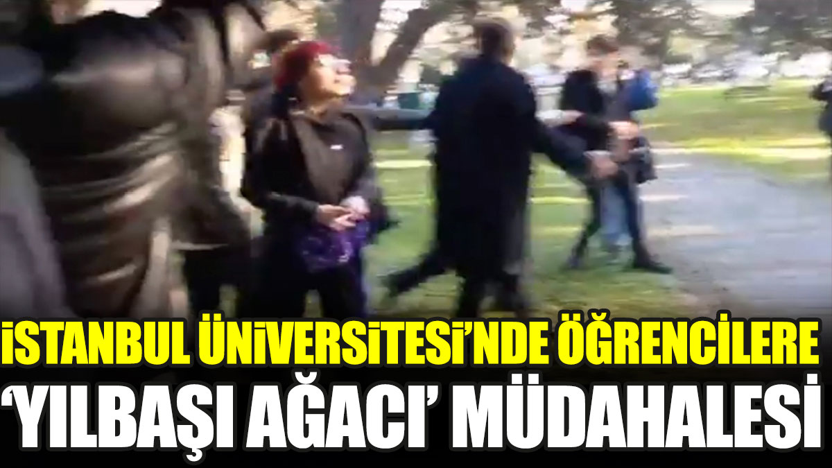 İstanbul Üniversitesi'nde öğrencilere 'yılbaşı ağacı' müdahalesi