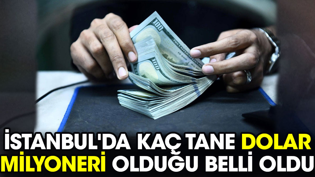 İstanbul'da kaç tane dolar milyoneri olduğu ortaya çıktı. 16 bin 300 kişi