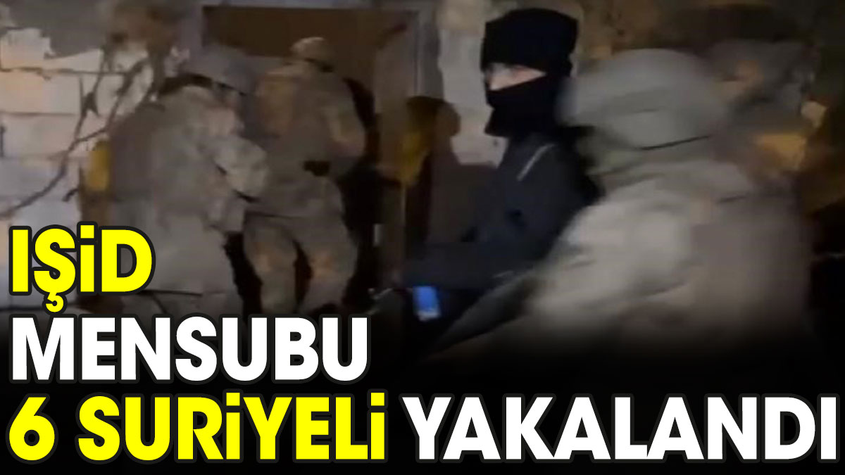 IŞİD mensubu 6 Suriyeli yakalandı