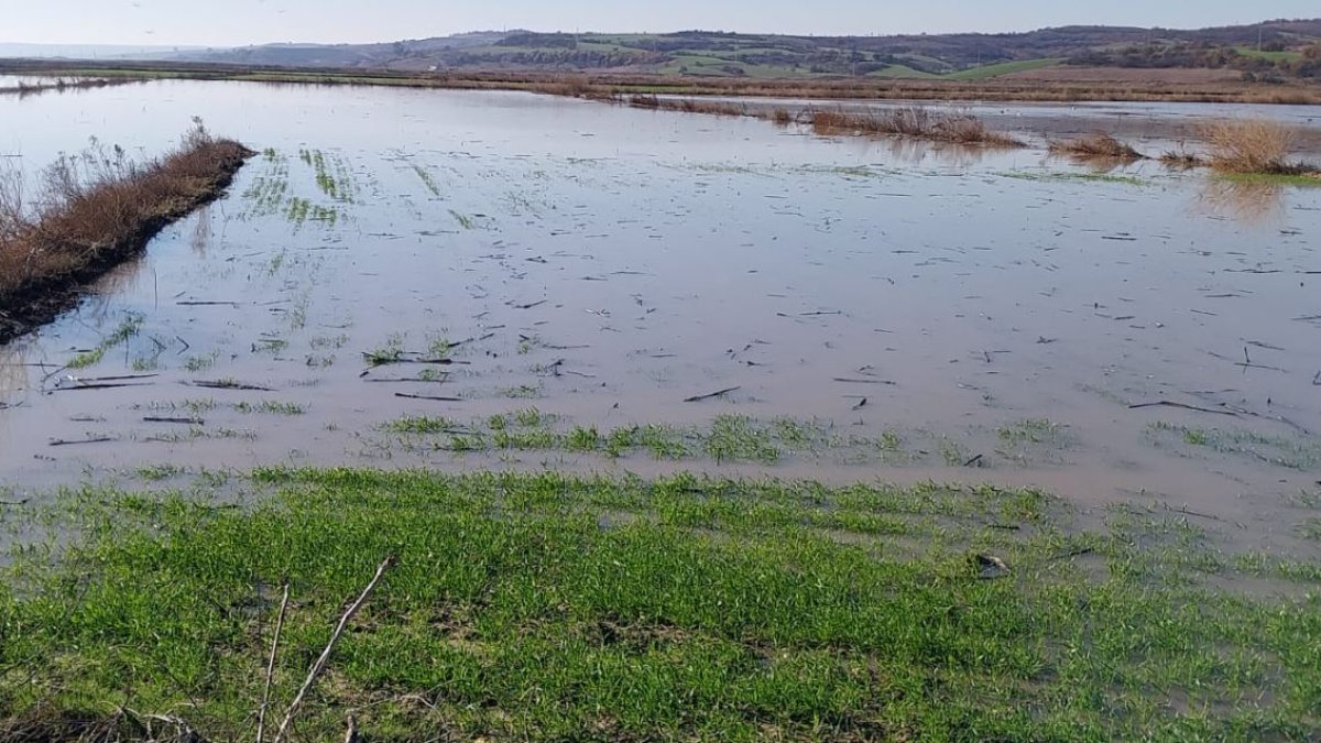 Ergene Nehri taştı yüzlerce dönüm ekili tarım arazisi sular altında kaldı