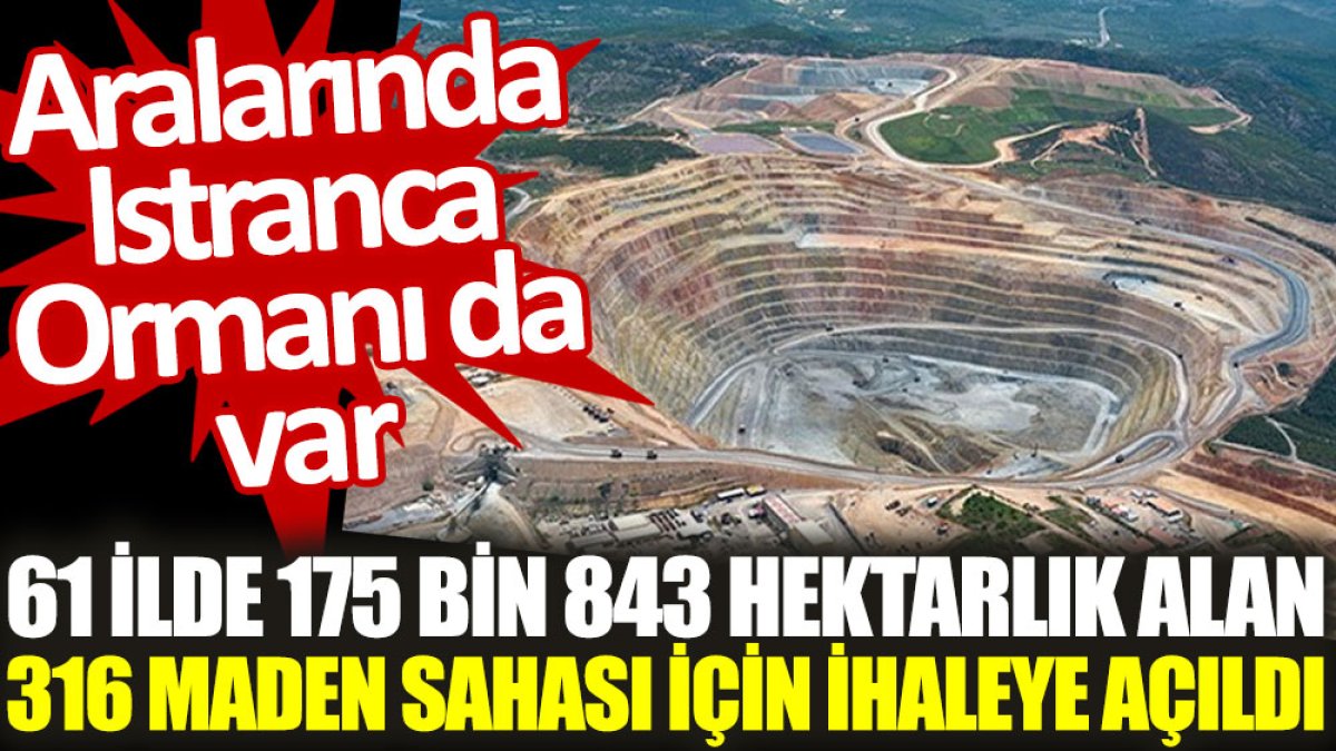 61 ilde 175 bin 843 hektarlık alan 316 maden sahası için ihaleye açıldı