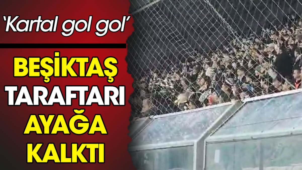 Beşiktaş taraftarı ayağa kalktı: Kartal gol gol