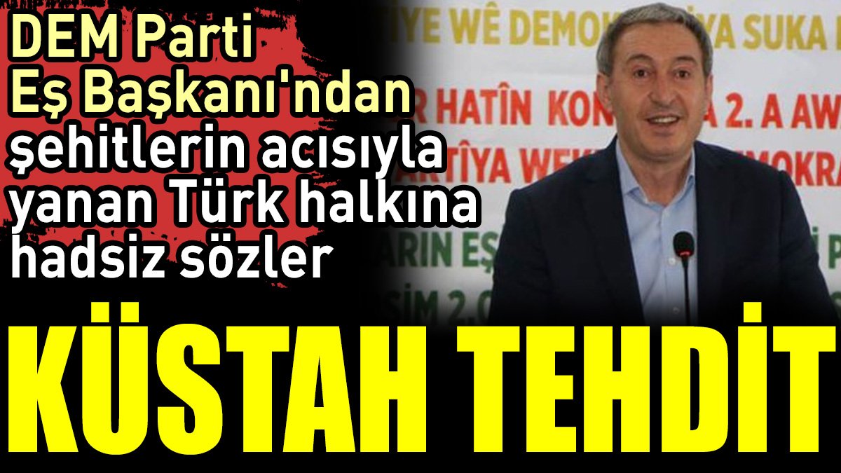 DEM Parti Eş Başkanı'ndan şehitlerin acısıyla yanan Türk halkına hadsiz sözler