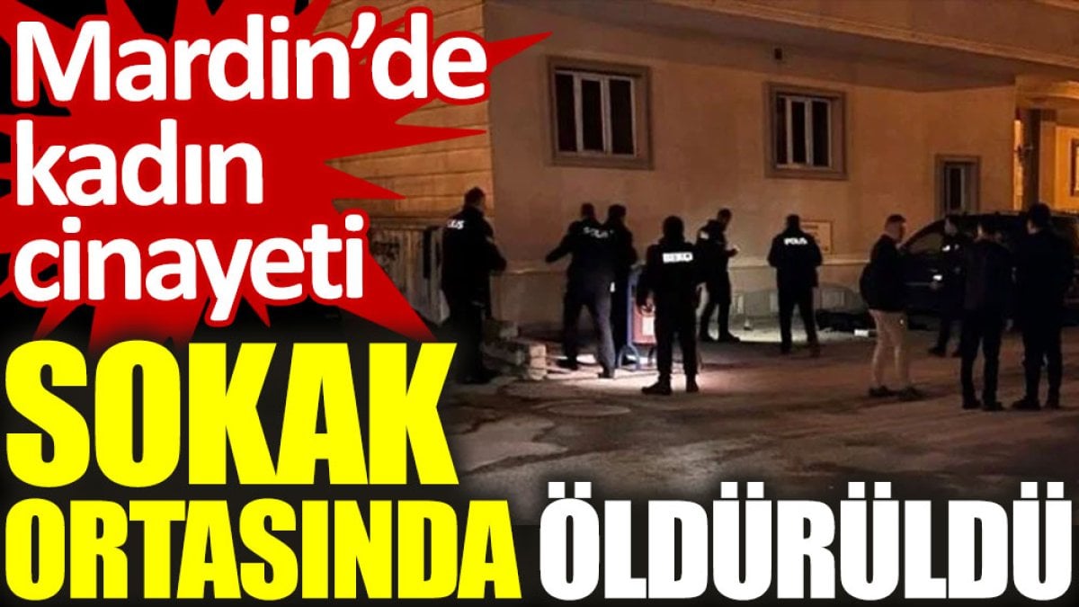 Mardin'de kadın cinayeti: Sokak ortasında öldürüldü