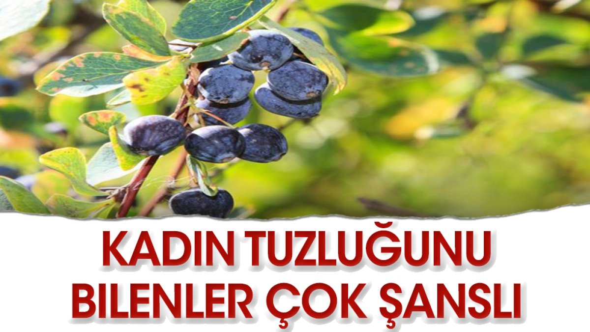 Mucize bir şifa kaynağı: Kadın Tuzluğu