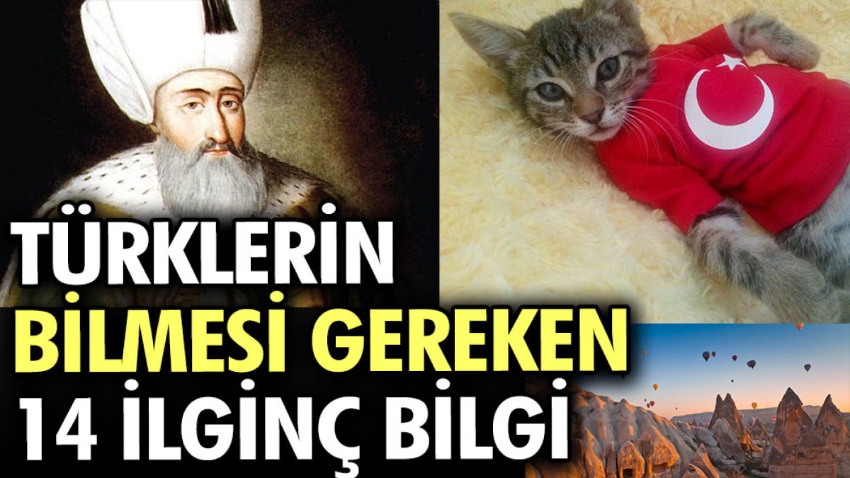 Türklerin bilmesi gereken 14 ilginç bilgi