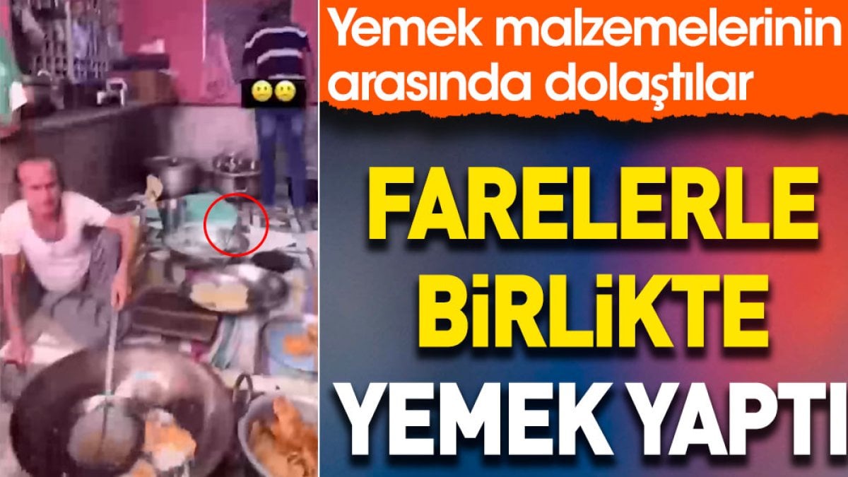 Farelerle birlikte yemek yaptı. Yemek malzemelerinin arasında dolaştılar