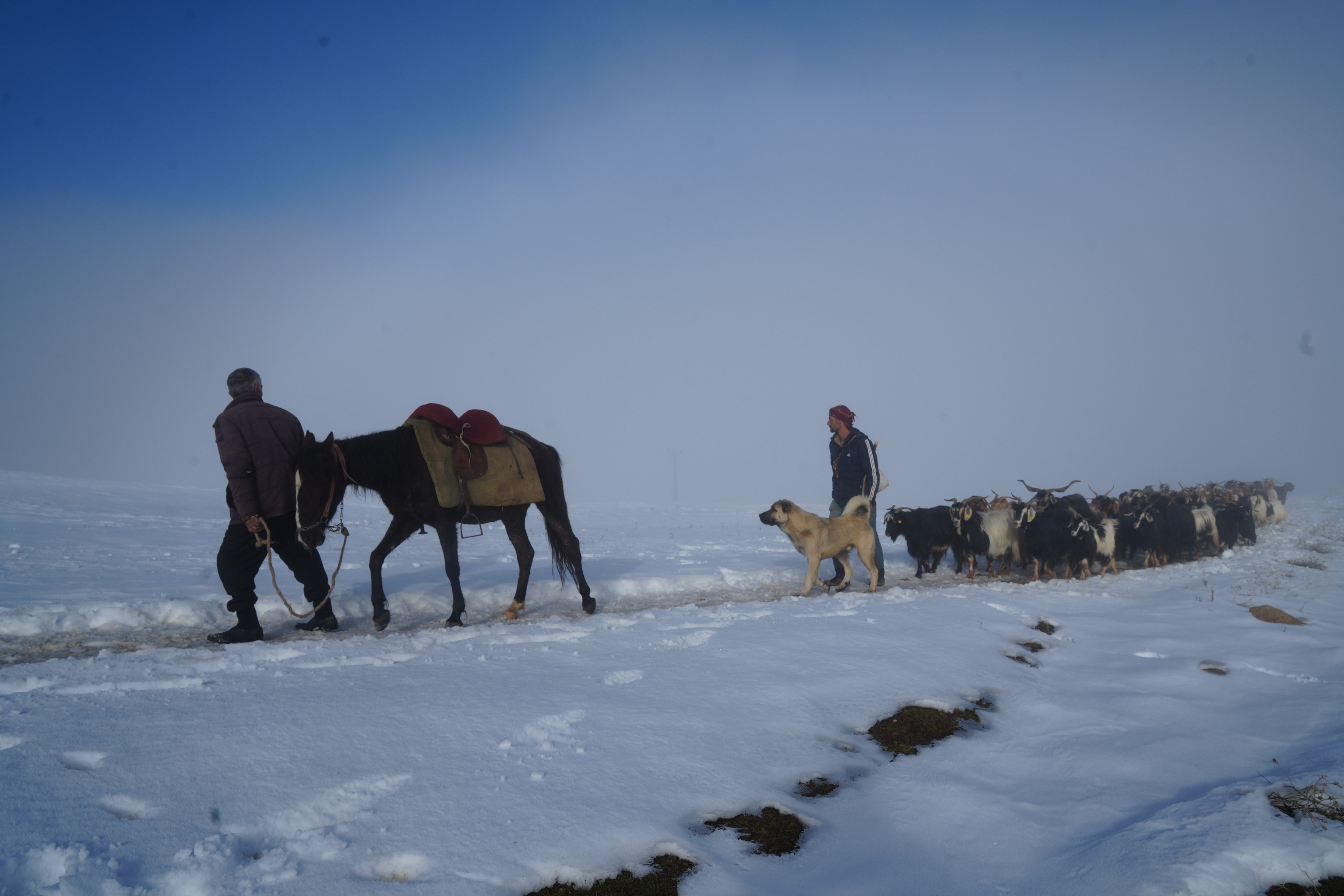 Besicilerin keçi sürüsüyle kar üzerinde 4 saatlik zorlu yolculuğu
