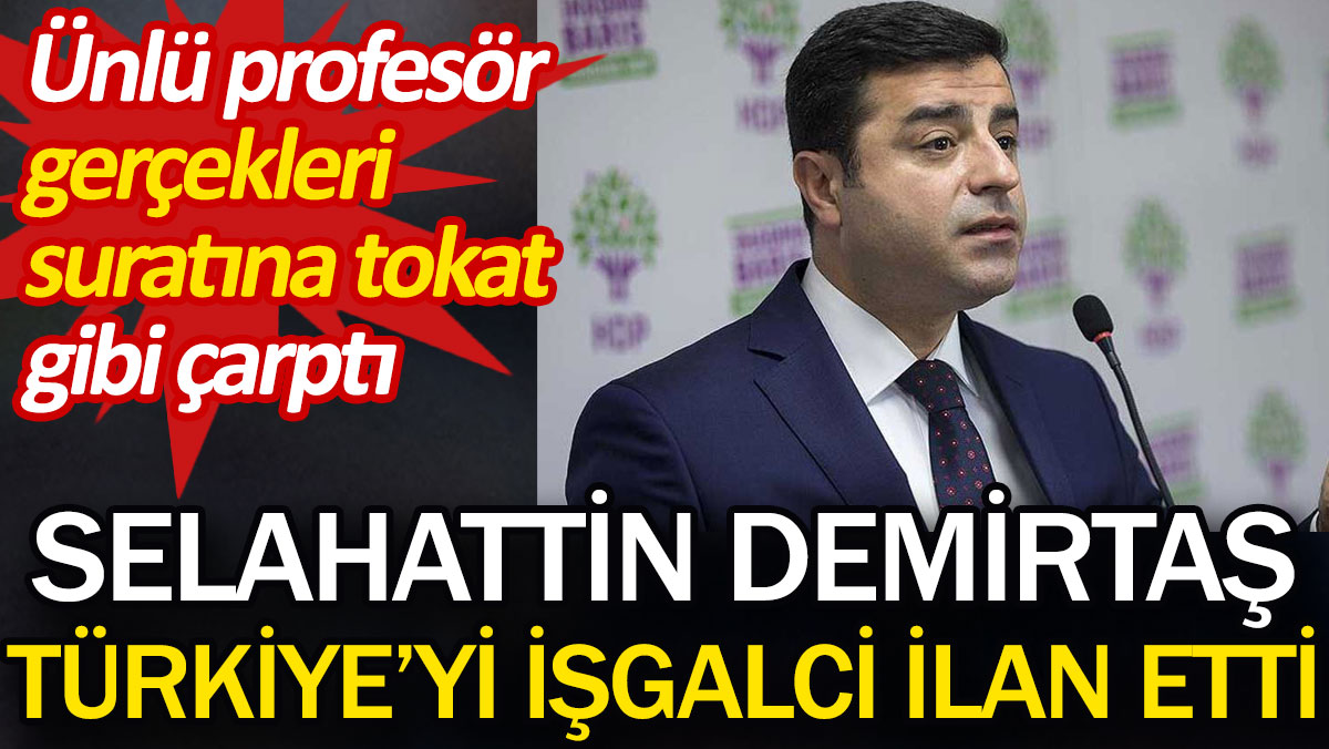 Selahattin Demirtaş Türkiye'yi işgalci ilan etti. Ünlü profesör gerçekleri suratına tokat gibi çarptı