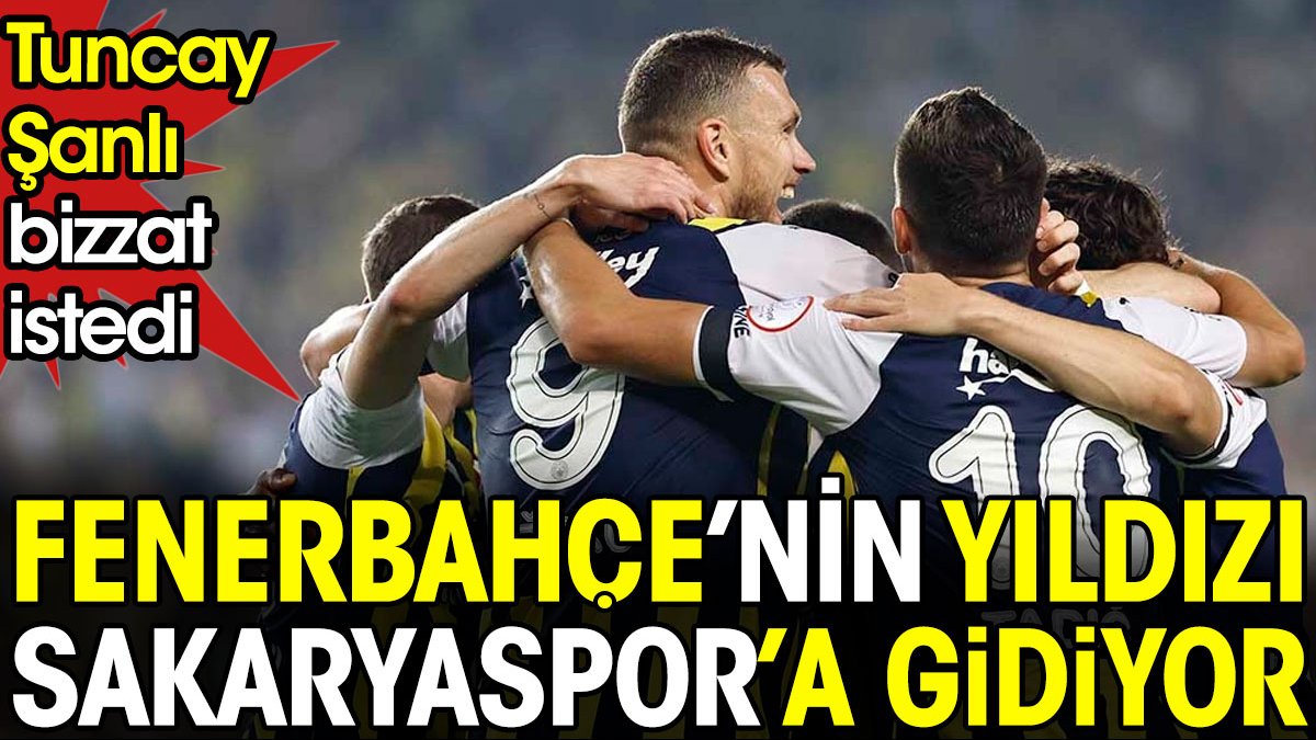 Fenerbahçe'nin yıldızı Sakaryaspor'a gidiyor