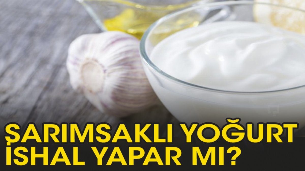 Sarımsaklı yoğurt ishal yapar mı?