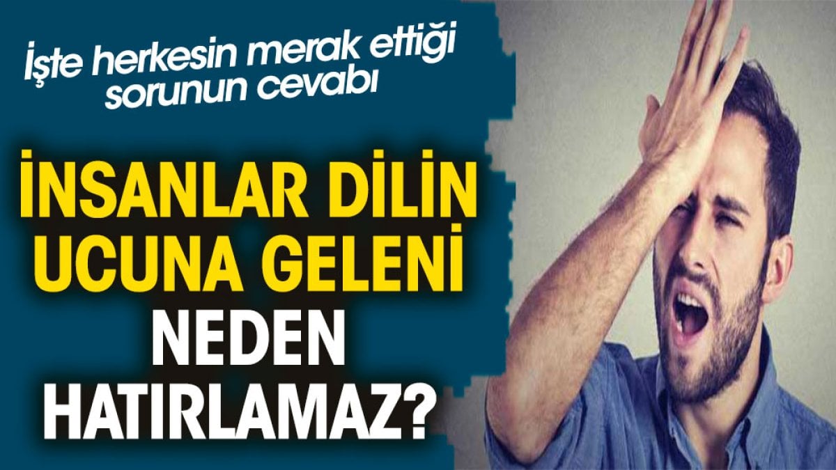 İnsanlar dilin ucuna geleni neden hatırlamaz? İşte herkesin merak ettiği sorunun cevabı