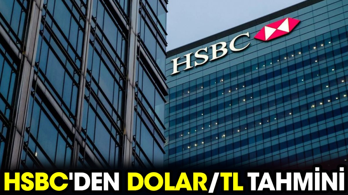 HSBC'den Dolar/TL tahmini