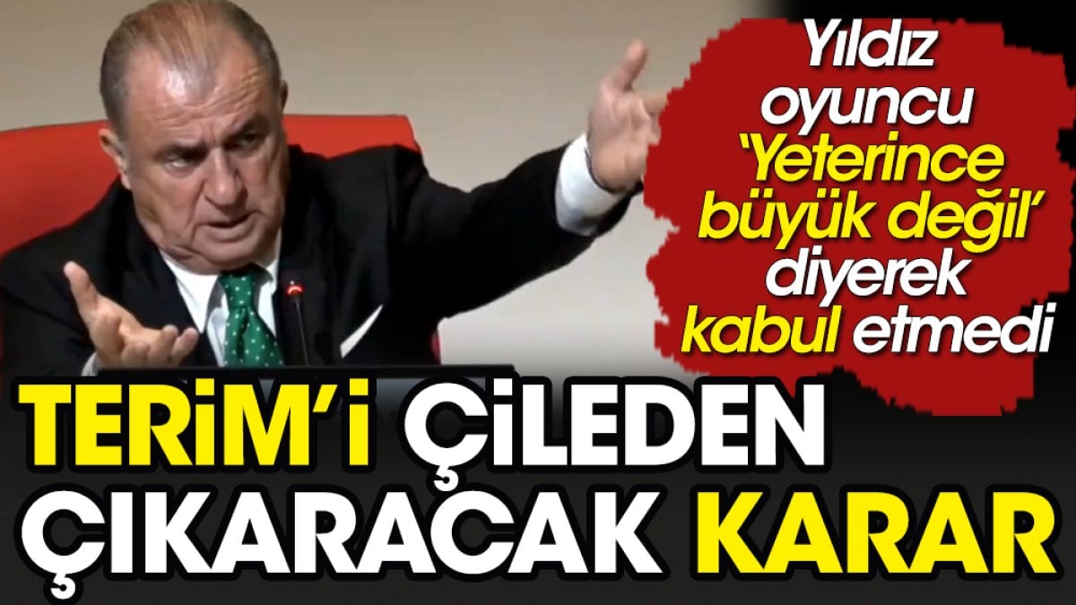 Fatih Terim'i çileden çıkaracak karar: Yeterince büyük değil