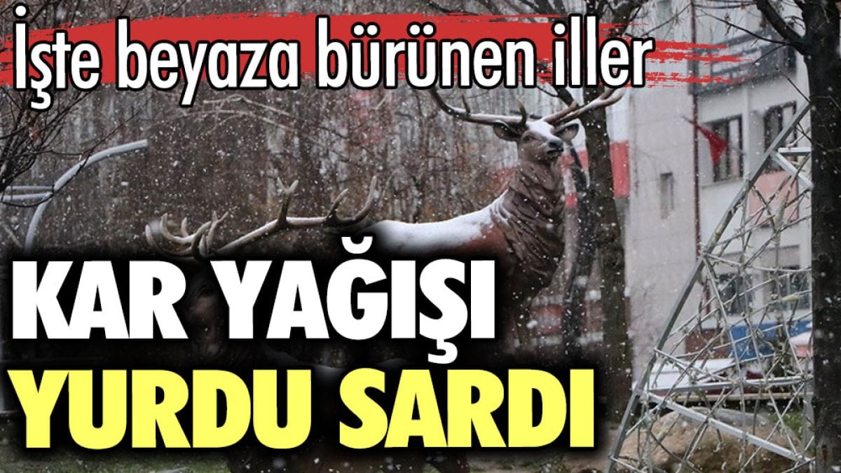 Kar yağışı yurdu sardı. İşte beyaza bürünen iller