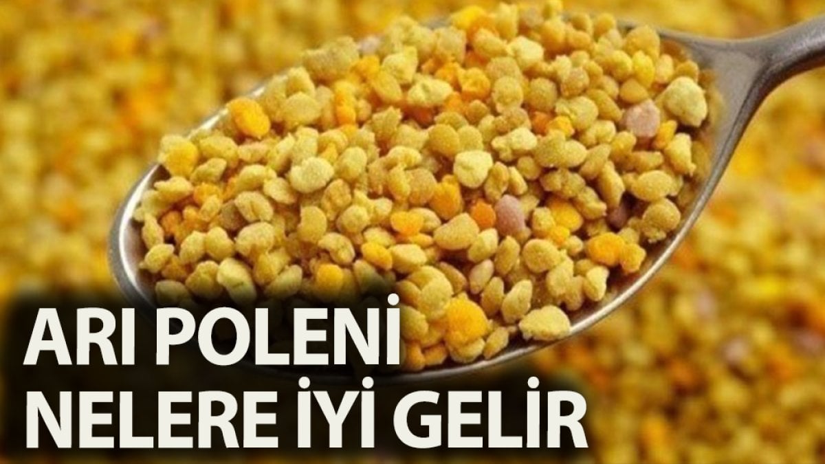 Arı poleni nasıl şifa verir