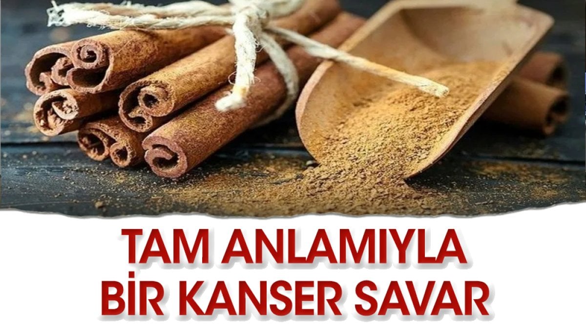 İşte soframızdaki kanser savar