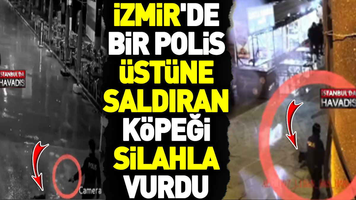 İzmir'de bir polis üstüne saldıran köpeği silahla vurdu