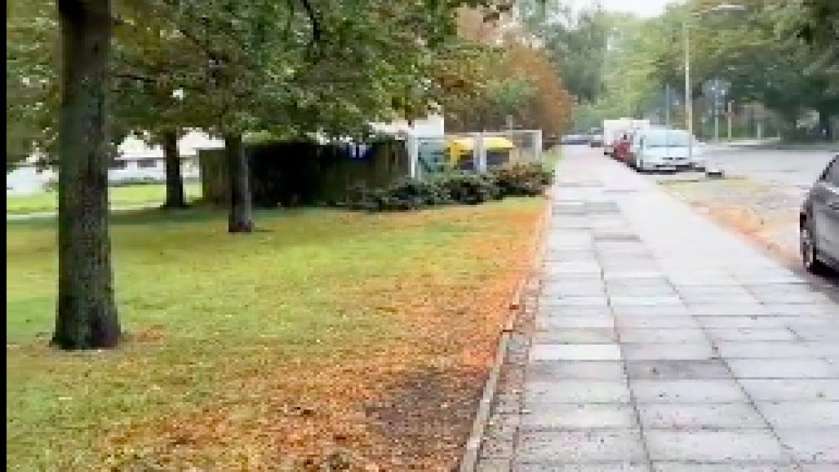 Bir gurbetçi, "Almanya'da trafikte kavga ederseniz ne olur?" sorusuna verdiği cevapla gündem oldu