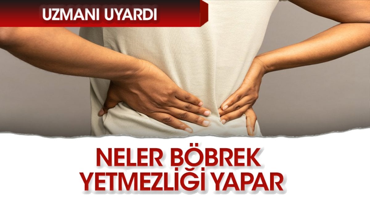 Neler böbrek yetmezliği yapar