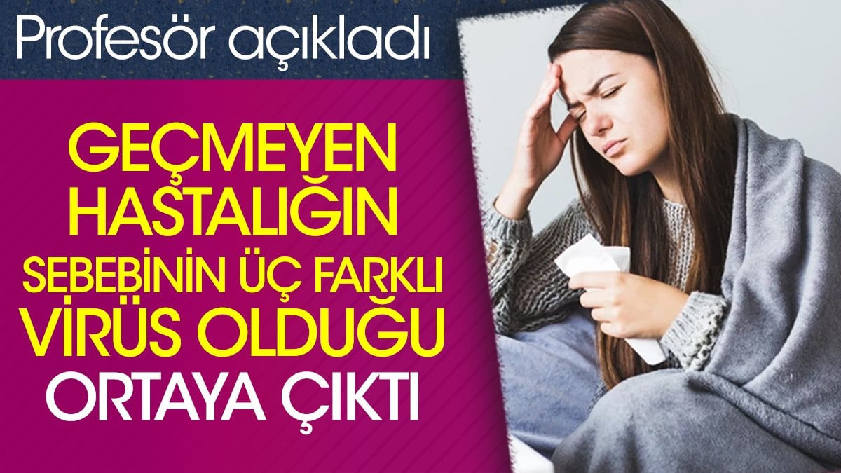 Geçmeyen hastalığın sebebinin üç farklı virüs olduğu ortaya çıktı. Profesör açıkladı