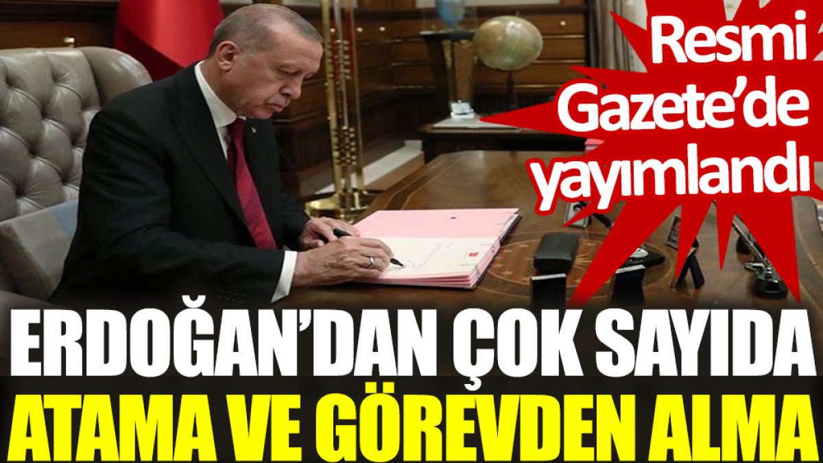 Erdoğan’dan çok sayıda atama ve görevden alma. Resmi Gazete’de yayımlandı