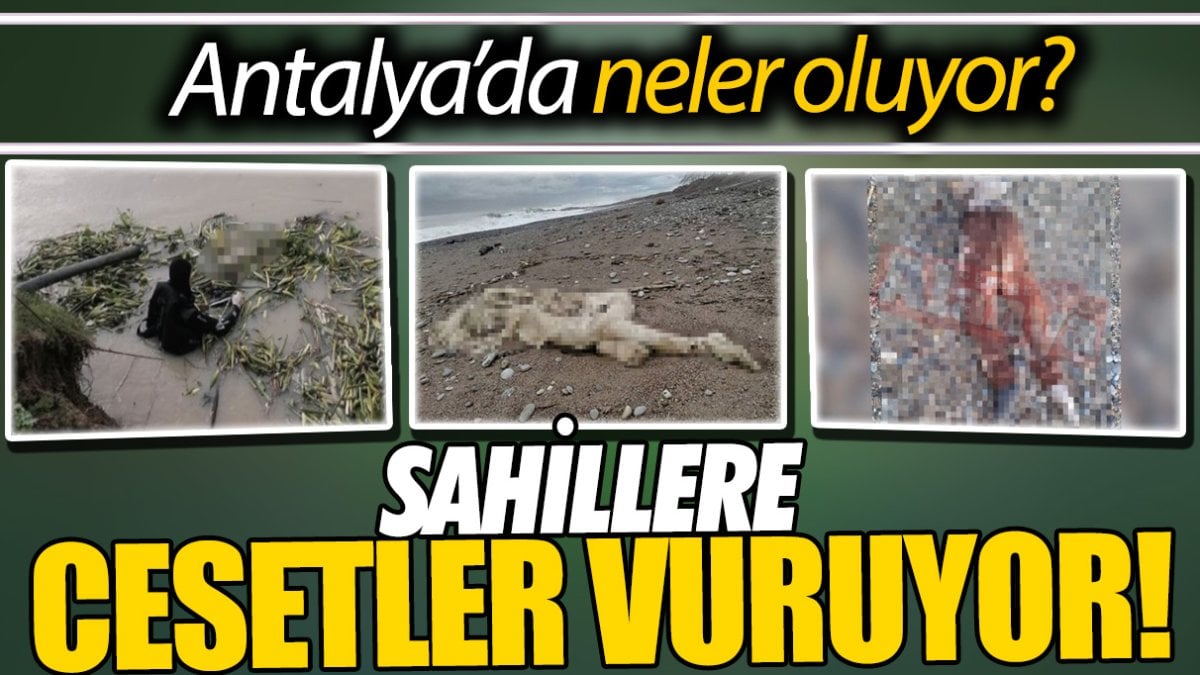 Sahillere cesetler vuruyor. Su kenarları ceset tarlasına döndü. Antalya’da neler oluyor