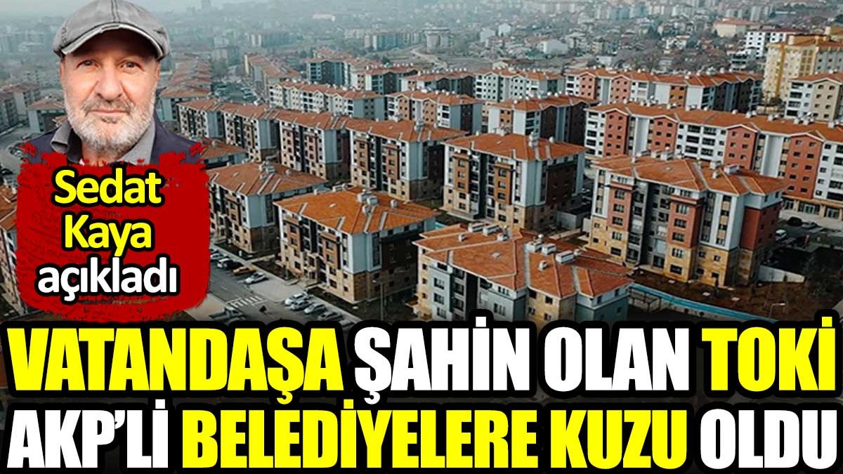 Vatandaşa şahin olan TOKİ AKP’li belediyelere kuzu oldu. Sedat Kaya açıkladı