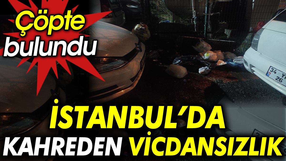 İstanbul'da kahreden vicdansızlık. Çöpte bulundu