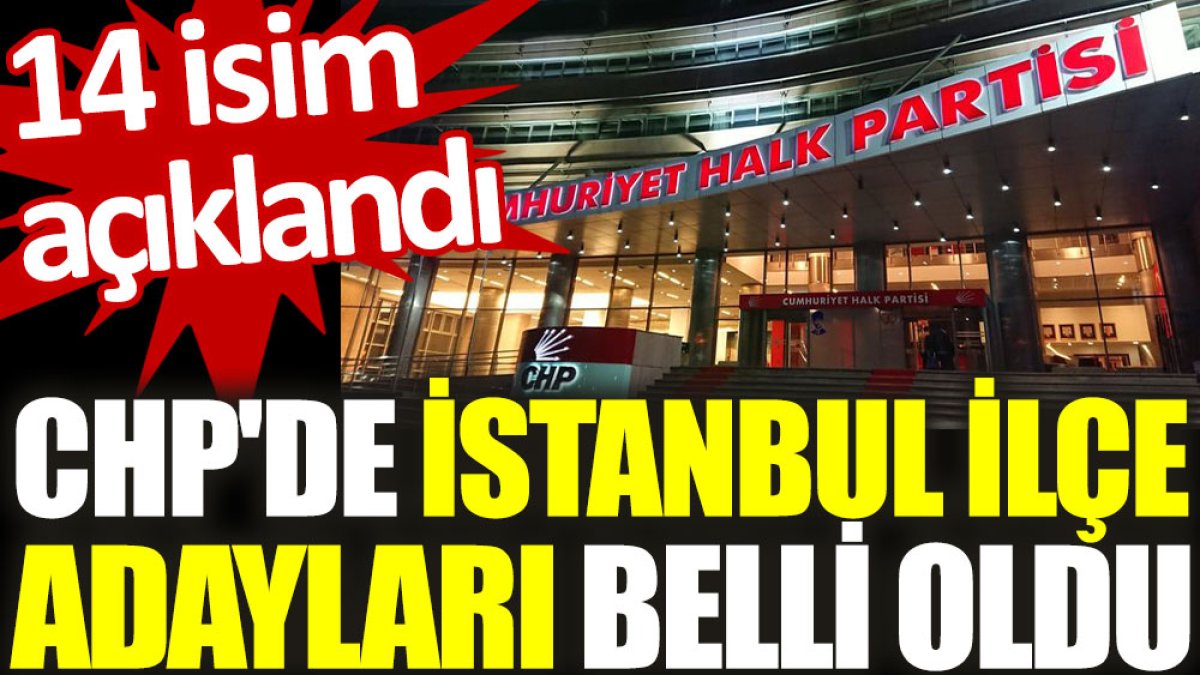 CHP'de İstanbul ilçe adayları belli oldu. 14 isim açıklandı
