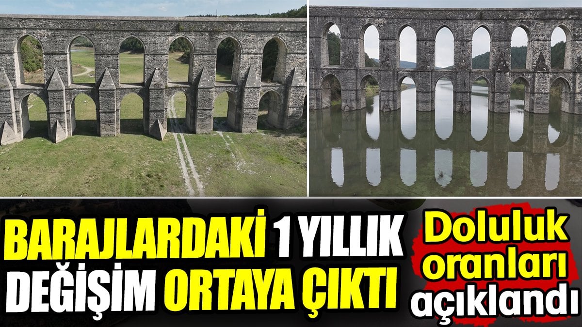 İstanbul'un barajlarında doluluk oranları belli oldu! 1 yıllık değişim ortaya çıktı