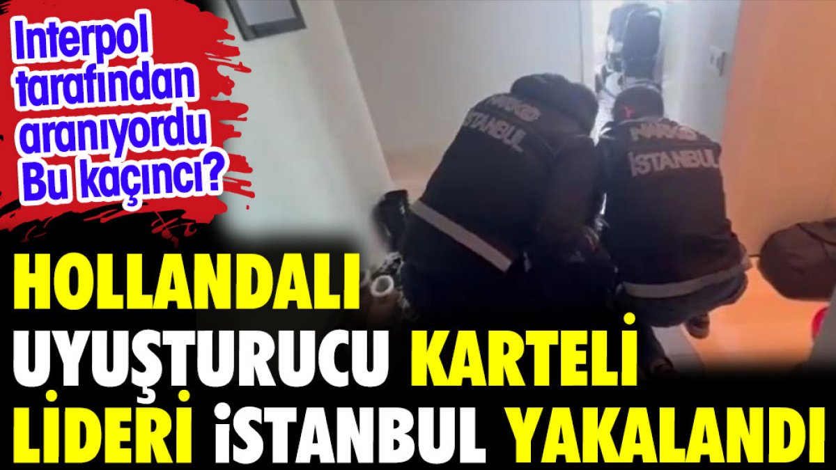 Hollandalı uyuşturucu karteli lideri İstanbul'da yakalandı. İnterpol arıyordu bu kaçıncı?