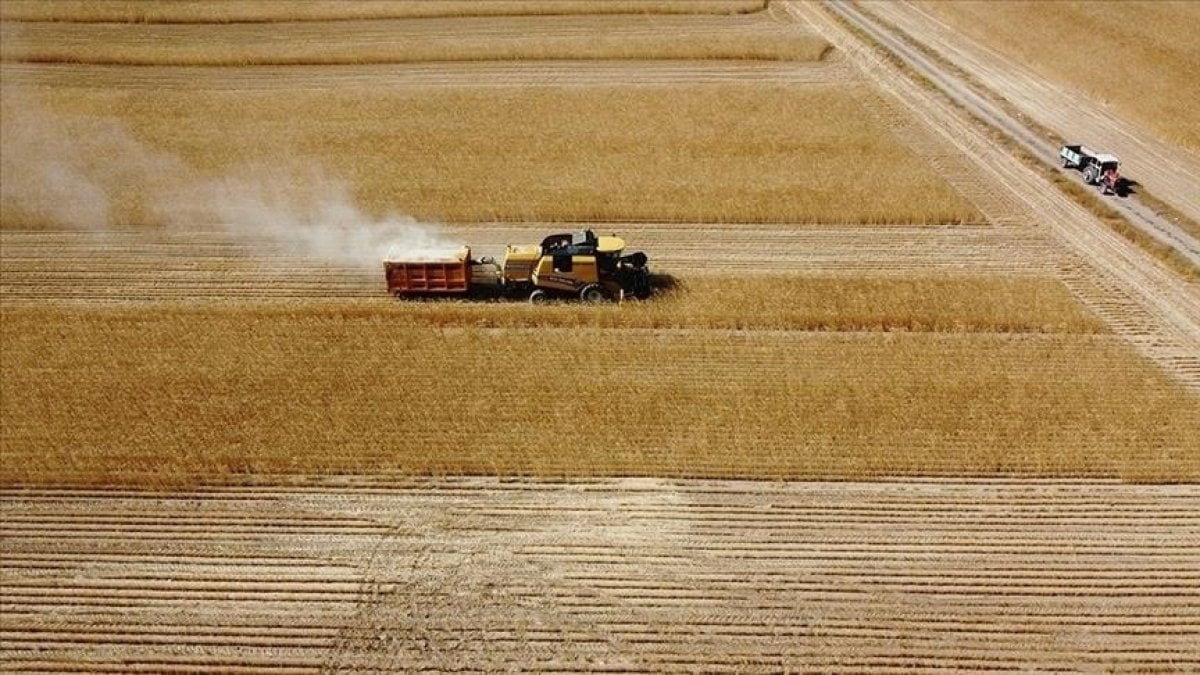 Bakan açıkladı. Çiftçilerin hesaplarına yatırıldı