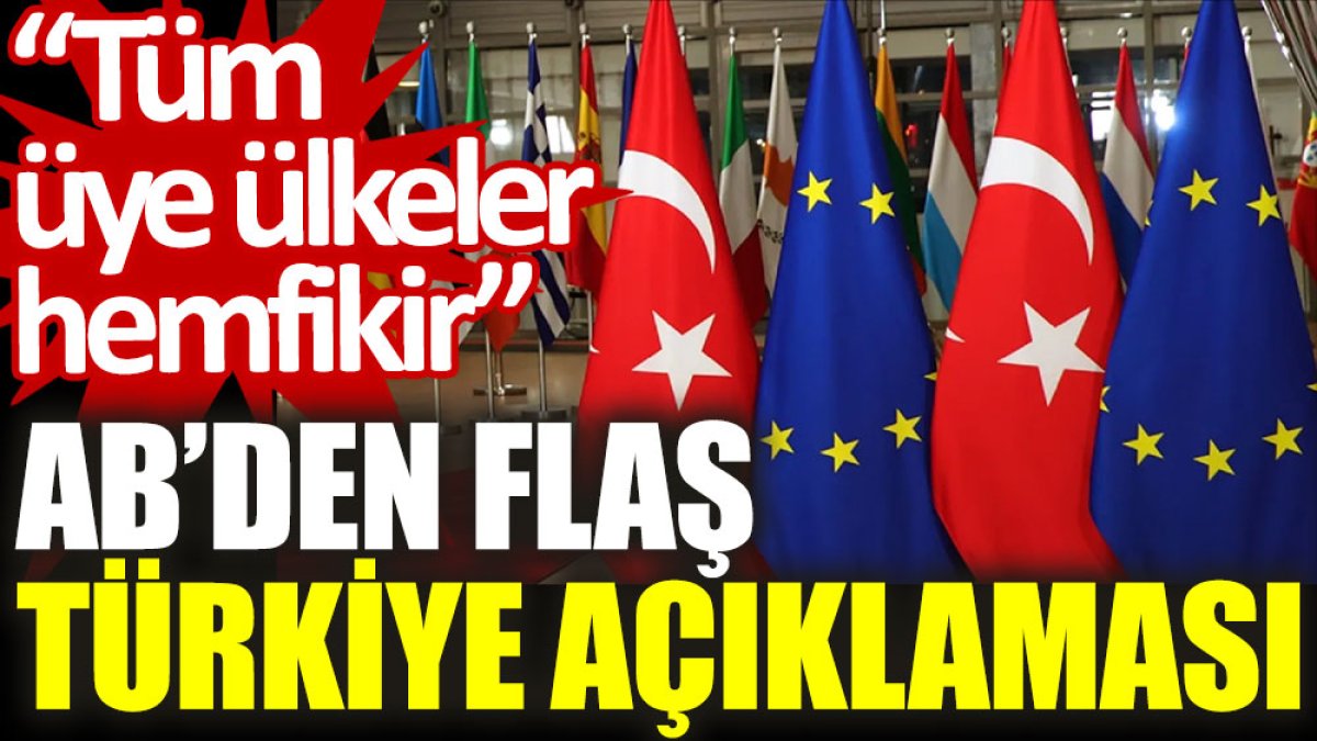 AB'den flaş Türkiye açıklaması: Tüm üye ülkeler hemfikir