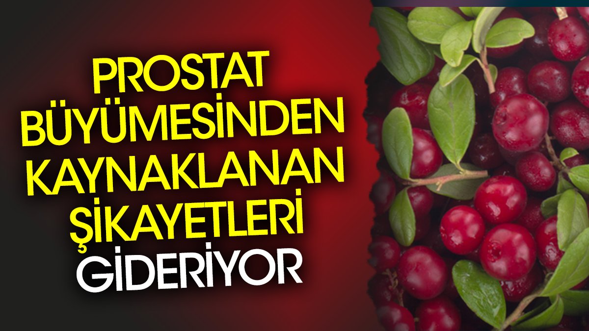 Prostat büyümesinden kaynaklanan şikayetleri gideriyor. İşte mucize ot