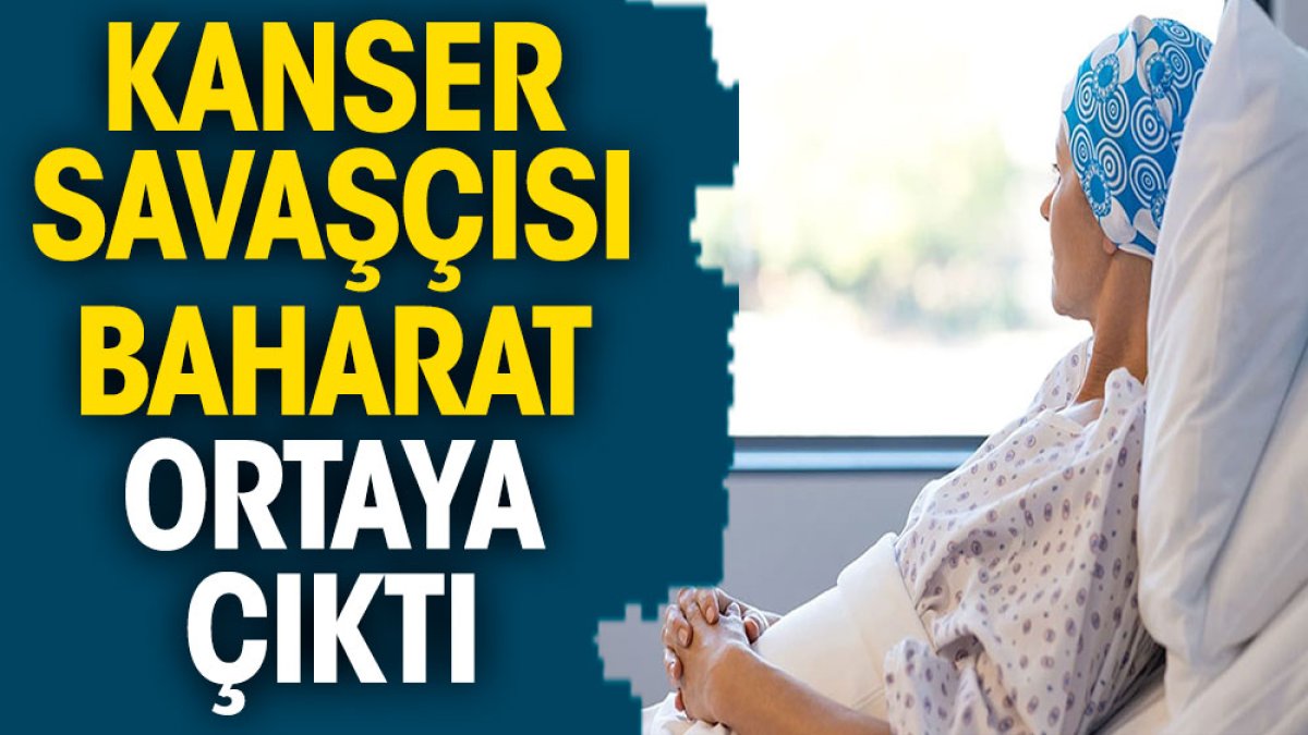 Kanser savaşçısı baharat ortaya çıktı