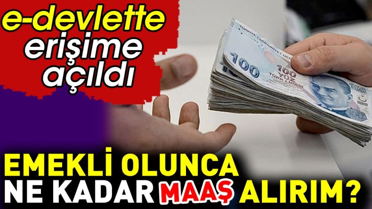 Emekli olunca ne kadar maaş alırım? e-devlette erişime açıldı