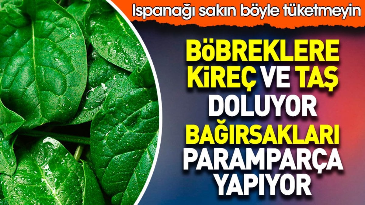 Ispanağı sakın böyle tüketmeyin. Böbreklere kireç ve taş doluyor. Bağırsaklar paramparça yapıyor