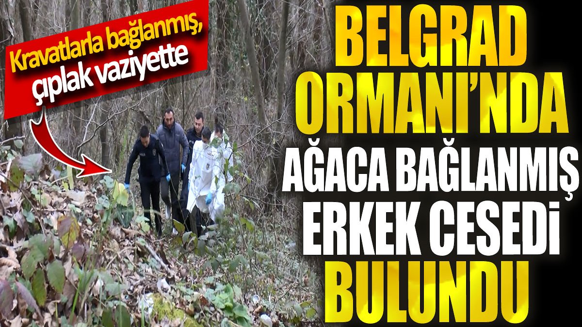 Belgrad Ormanı’nda ağaca bağlanmış erkek cesedi bulundu. Kravatlarla bağlanmış çıplak vaziyette