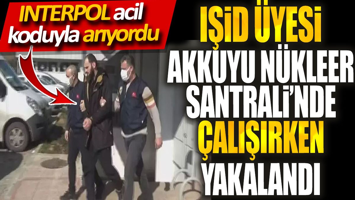 IŞİD şüphelisi Akkuyu Nükleer Santrali’nde çalışırken yakalandı. INTERPOL acil koduyla aranıyordu